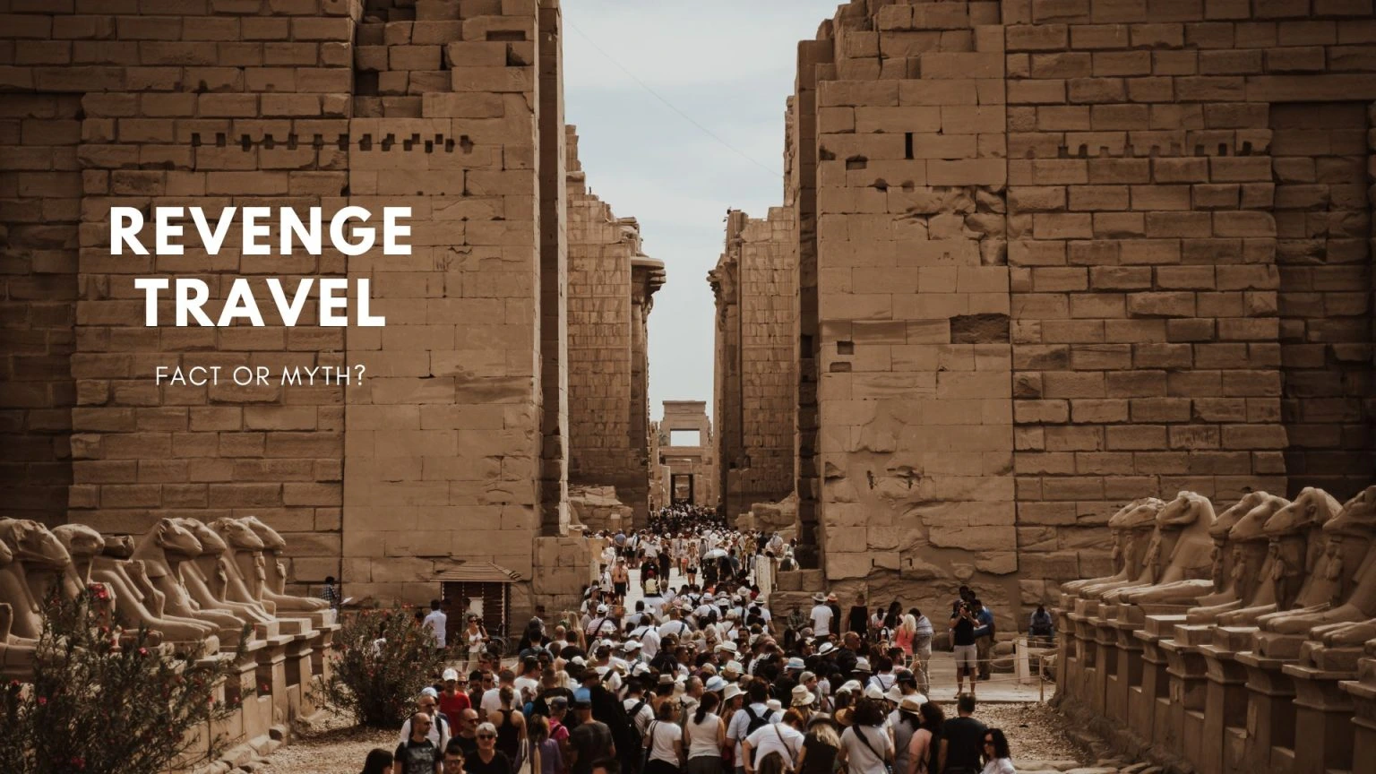 Revenge Travel