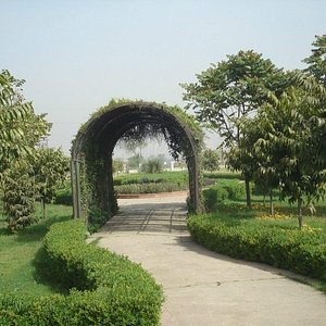 scenic park