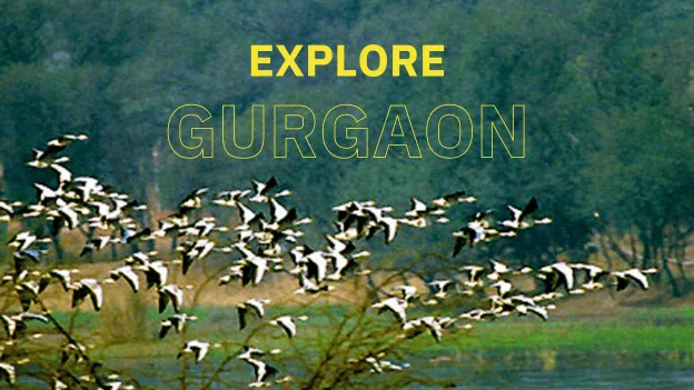 3 Places You Shouldn't Miss In Gurgaon