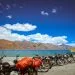 manali to leh bike trip